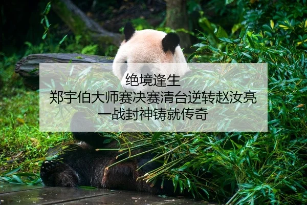 jue-jing-feng-sheng-zheng-yu-bo-da-shi-sai-jue-sai-qing-tai-ni-zhuan-zhao-ru-liang-yi-zhan-feng-shen-zhu-jiu-chuan-qi-2-368.jpg